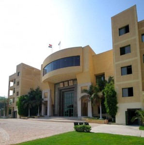 misr international university