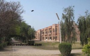 Cadet College Jhang Admission 2021 Last date to Apply