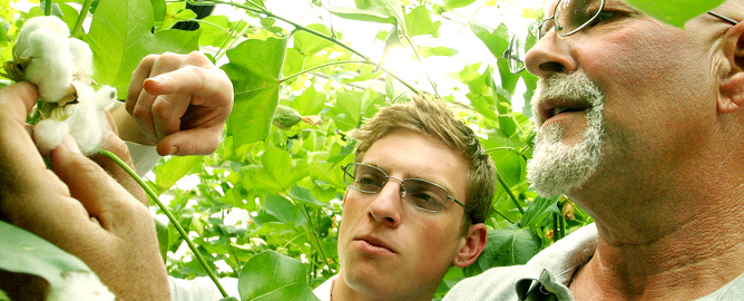 Top Agricultural Universities in Pakistan