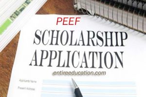 PEEF Scholarship Offerd by Government of Punjab