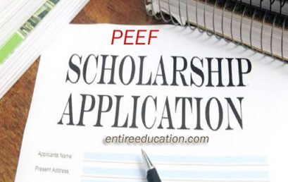 PEEF Scholarship Offerd by Government of Punjab