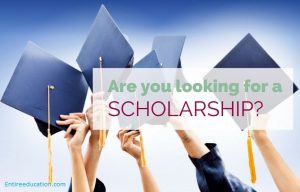 Business Scholarships For Pakistani Students