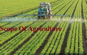 Scope Of Agriculture Courses, Jobs And BSc Universities