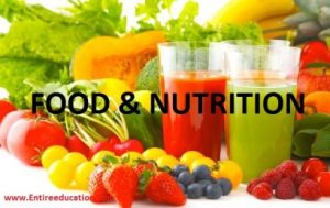 Scope of BS Food And Nutrition For Students