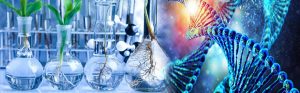 What is Difference Between Biotechnology And Biochemistry