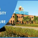 Punjab University Fee Structure