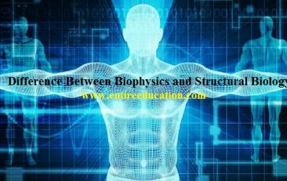 What’s Difference Between Biophysics and Structural Biology?